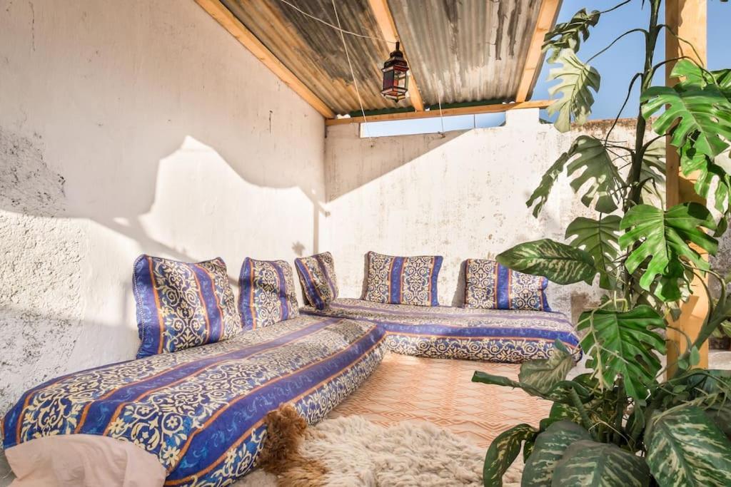Dar Fatimazahra Daire Fès Dış mekan fotoğraf
